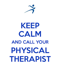 Physical therapist